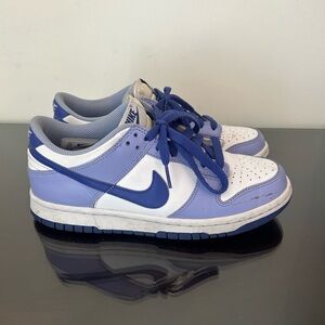 Nike Dunks (The Blueberry’s)